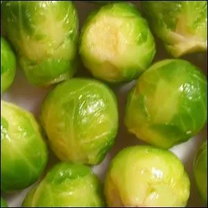 Comment l'appelle-t-on ?