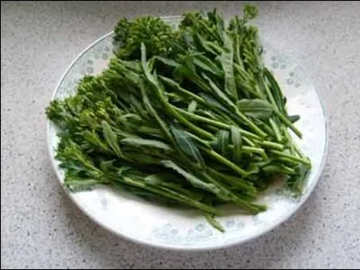 Ce sont en fait les fleurs qui poussent au printemps sur les choux et que l'on mange avec une vinaigrette. En Aveyron on les appelle :