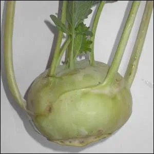 On me nomme galement : boule de Siam.