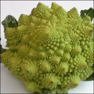 Quel nom me donnes-tu ?