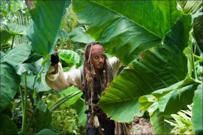 Quelle est la terreur de tous les pirates ?