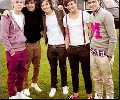 Selon les One Direction (dans une video diary) qui serait le leader ?