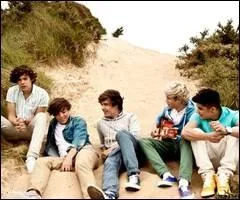 Qui commence  chanter dans  What makes you beautiful  ?