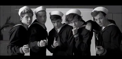 Dans les video diaries, qui a dit  No jimmy protested  ?