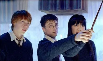 Ron et Harry sont sortis avec deux filles qui ne sont ni Ginny, ni Hermione. Mais qui alors ?
