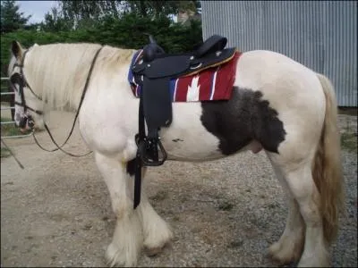 Que veut dire l'expression  dgarroter  ?