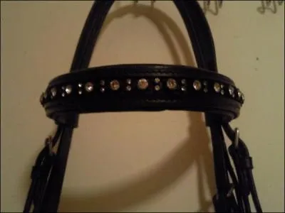 Comment s'appelle cette partie du filet ?