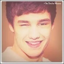 Comment s'appelle la petite copine de Liam Payne ? (en 2013)