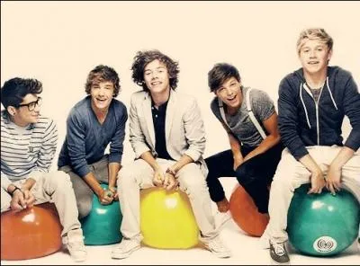 Comment appelle-t-on les super fans des One Direction ?