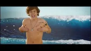 Quel membre des One Direction ne sait pas nager ?