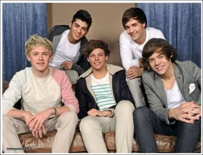 Qui a dit que  Quand je suis all acheter Take Me Home, la caissire m'a dit que je ressemblais  Zayn.   ?