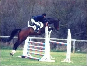 Comment s'appelle cet obstacle ?