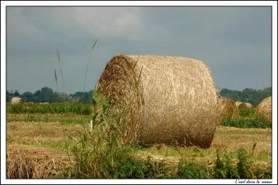 Qu'est-ce que c'est ?