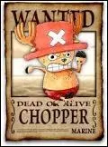  combien est mise  prix la tte de Chopper par la Marine ?