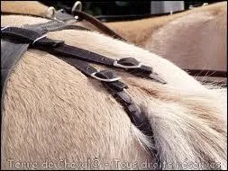 Comment s'appelle cet objet ?