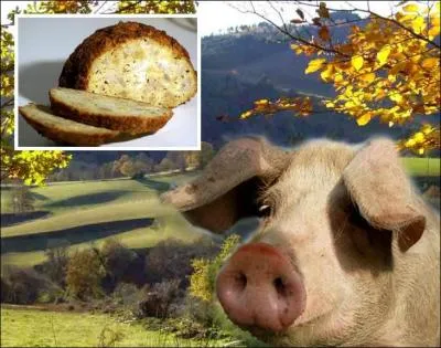 Comment appelle-t-on cette charcuterie, spcialit des montagnes entre Sidobre et Lacaune faite avec des oeufs, du pain et de la viande de porc sale et poivre ?