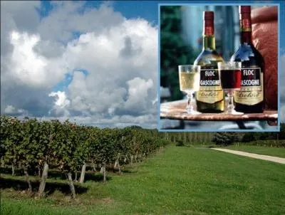 Le floc de Gascogne est un vin de liqueur labor par mlange de  mot  de raisin et d'armagnac jeune. Que signifie le mot  floc  en gascon ?