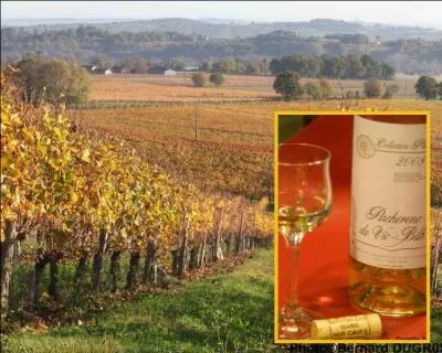 Le Pacherenc du-Vic-Bilh, a. o. c. produit entre Gers, hautes-Pyrnes et Pyrnes-Atlantique est un vin blanc ... .