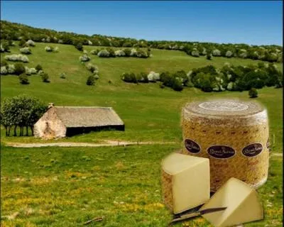 Le laguiole est une appellation fromagre de la rgion de l'Aubrac, qui doit son nom au bourg de Laguiole dans l'Aveyron. C'est un fromage a pte presse non cuite issu de lait de.....