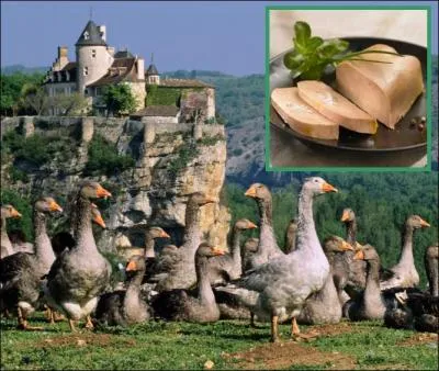Grande productrice de foie gras,  quel rang se situe la rgion au niveau national ?