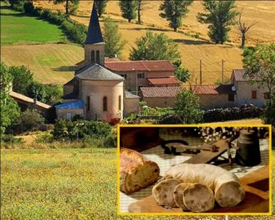 Produit du terroir tarnais et du sud de l'Aveyron, cette saucisse pice aux ufs, et au pain, de la famille des boudins blancs est  base de poitrine de porc et de panade  l'uf ... .