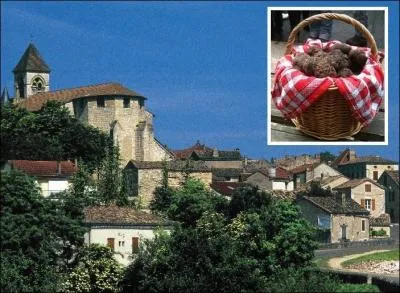Baptise pompeusement le Diamant noir du Quercy, la truffe noire a son march dans ce chef-lieu de canton du Lot.....