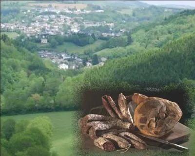 Ce chef lieu de canton du Tarn est spcialis dans la salaison des jambons secs, saucissons secs et saucisses sches .....