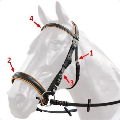 Nommez les parties du filet dans l'ordre, 1 / 2 / 3 / 4 !