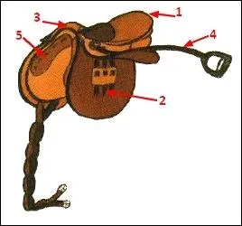 Nommez les parties de la selle dans l'ordre, 1 / 2 / 3 / 4 / 5 !