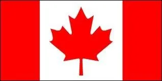 De quel pays vient ce drapeau ?