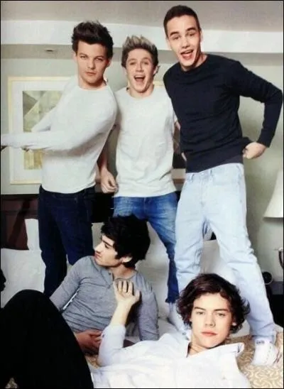 L'un des One Direction ne sait pas nager, lequel ?