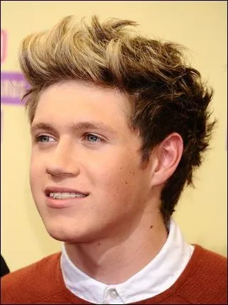 Comment s'appelle le frre an de Niall ?