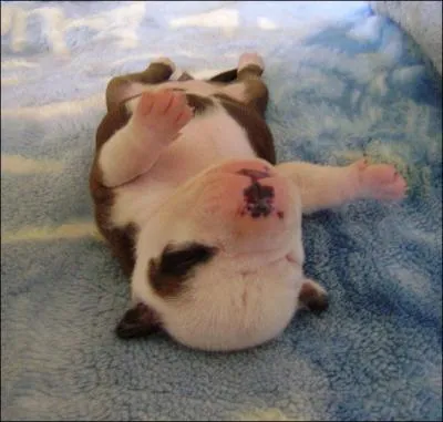 De ces trois drogues, l'une possde un nom directement tir du sommeil !