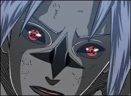 Lors du combat Sasuke/Naruto, lorsque Sasuke passe au niveau 2 de son sceau maudit, que sort-il de son dos ?