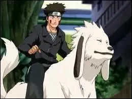 Comment se nomme la redoutable technique de Kiba & Akamaru ?