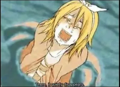 Que souhaite Rin dans  Regret Message  ?