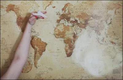 De quelle origine est Zayn ?