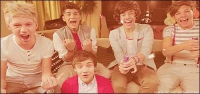 Dans quelle srie les One Direction ont-ils fait une apparition ?