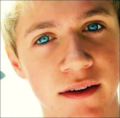 Quel est le deuxime prnom de Niall ?