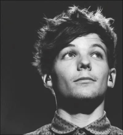 Quel est le deuxime prnom de Louis ?