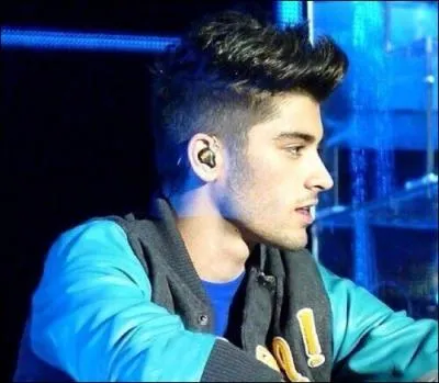 Quel est le plat prfr de Zayn ?