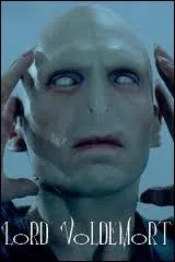 Quel est le statut de sang de Lord Voldemort ?