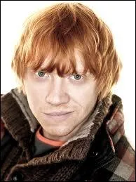 Quelle quipe de Quidditch est la prfre de Ron ?