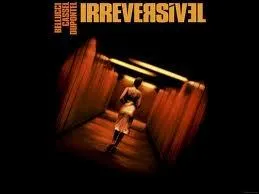 Qui a ralis le trs sulfureux et controvers  Irrversible  ?