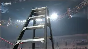 Lesquels de ces catcheurs ne se sont jamais affronts dans un match de l'chelle pour le titre intercontinental ?