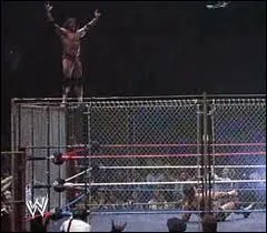 En 1983, qui tait l'adversaire de Jimmy Snuka dans le  steel cage match  pour le titre intercontinental au Madison Square Garden ?