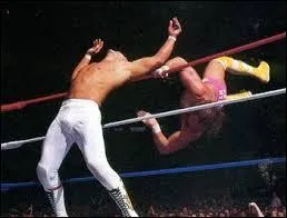 Lors de Wrestlemania 3, quelles superstars s'affrontrent pour le titre intercontinental dans un des meilleurs matchs de l'histoire de la WWE ?