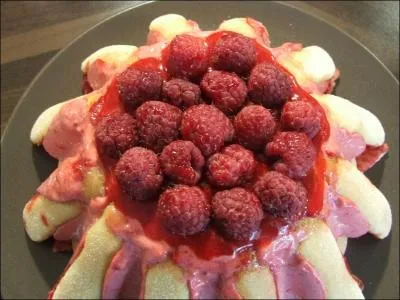 Quel est le nom de ce gteau ?