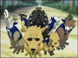 Dans l'escouade des Crocs Traqueurs de Kakashi, comment s'appelle le chien qui porte des lunettes de soleil ?