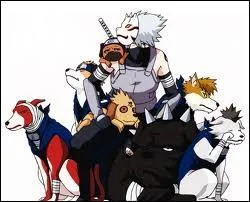 Quels sont les signes de main que Kakashi excute pour invoquer  Les Crocs Traqueurs  ?